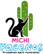 Michis Paceños